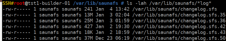 SaunaFS Metadata logs